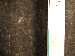 SurveyImage_30_05.png