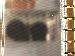 SurveyImage_05_03.png