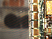 SurveyImage_21_03.png