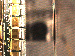 SurveyImage_06_03.png