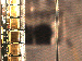SurveyImage_08_03.png