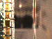 SurveyImage_10_03.png