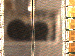 SurveyImage_24_03.png