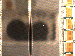 SurveyImage_26_03.png
