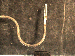 SurveyImage_29_02.png