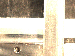 SurveyImage_30_01.png