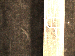SurveyImage_30_03.png