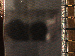 SurveyImage_03_03.png