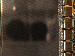 SurveyImage_05_03.png