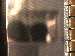 SurveyImage_01_03.png