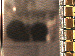 SurveyImage_05_03.png