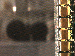 SurveyImage_09_03.png