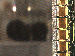 SurveyImage_11_03.png