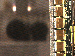 SurveyImage_13_03.png