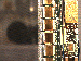 SurveyImage_25_03.png