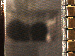 SurveyImage_03_03.png