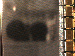 SurveyImage_05_03.png