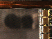 SurveyImage_07_04.png