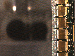 SurveyImage_11_03.png