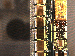 SurveyImage_29_03.png