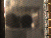 SurveyImage_01_03.png