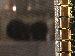 SurveyImage_09_03.png