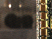 SurveyImage_11_03.png