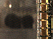 SurveyImage_07_03.png