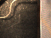 SurveyImage_02_03.png