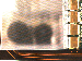 SurveyImage_03_02.png