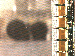 SurveyImage_07_03.png
