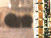 SurveyImage_09_03.png