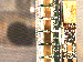 SurveyImage_23_03.png