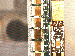 SurveyImage_27_03.png