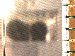 SurveyImage_03_03.png