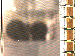 SurveyImage_05_03.png