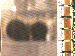 SurveyImage_07_03.png