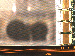 SurveyImage_09_02.png
