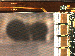 SurveyImage_09_04.png