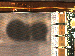 SurveyImage_11_04.png
