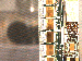 SurveyImage_25_03.png