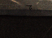 SurveyImage_23_06.png